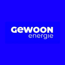 Einfach Energie Logo